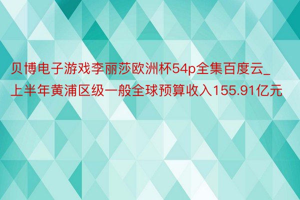 贝博电子游戏李丽莎欧洲杯54p全集百度云_上半年黄浦区级一般全球预算收入155.91亿元